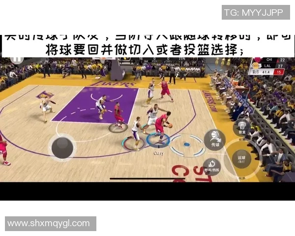 深入分析杭州乒乓球队包夹打法的战术特点与应用效果