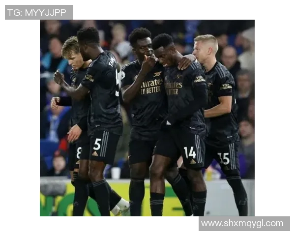 南京足球队以66分高居世界锦标赛积分榜首位展现强大实力